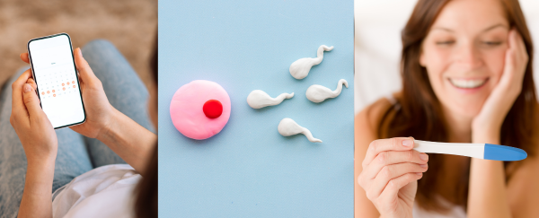 calculadora-de-fertilidad-dias-fertiles